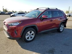 Salvage cars for sale at Rancho Cucamonga, CA auction: 2019 Toyota Rav4 XLE