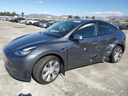 Tesla Model y Vehiculos salvage en venta: 2021 Tesla Model Y