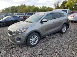 Salvage cars for sale at Chalfont, PA auction: 2017 KIA Sorento LX