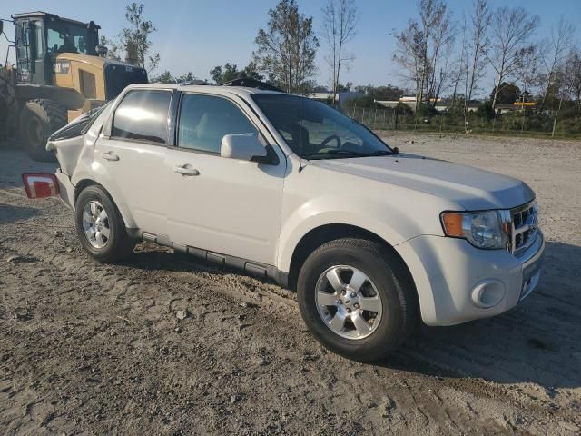 2011 Ford Escape Limited