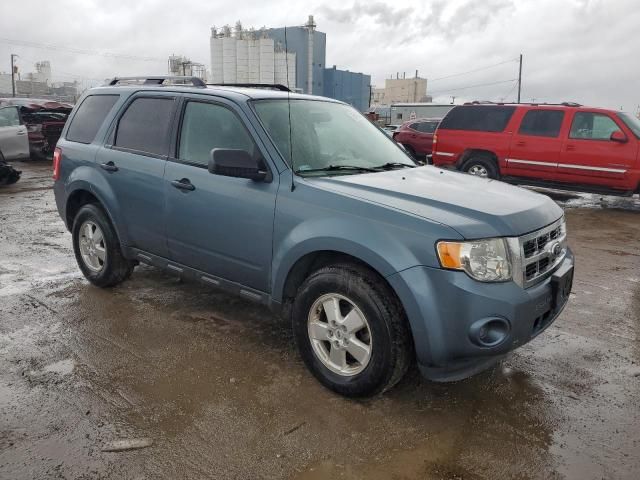 2012 Ford Escape XLS