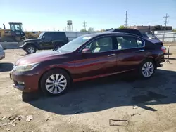 Salvage cars for sale at Chicago Heights, IL auction: 2013 Honda Accord EXL