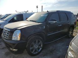 Salvage cars for sale at Arcadia, FL auction: 2009 Cadillac Escalade Luxury