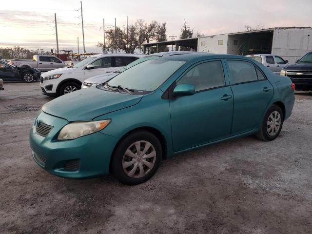 2010 Toyota Corolla Base