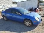 2005 Dodge Neon SXT