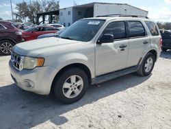 Ford Vehiculos salvage en venta: 2009 Ford Escape XLT