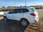 2007 Hyundai Santa FE SE