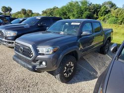 Salvage cars for sale at Riverview, FL auction: 2019 Toyota Tacoma Double Cab