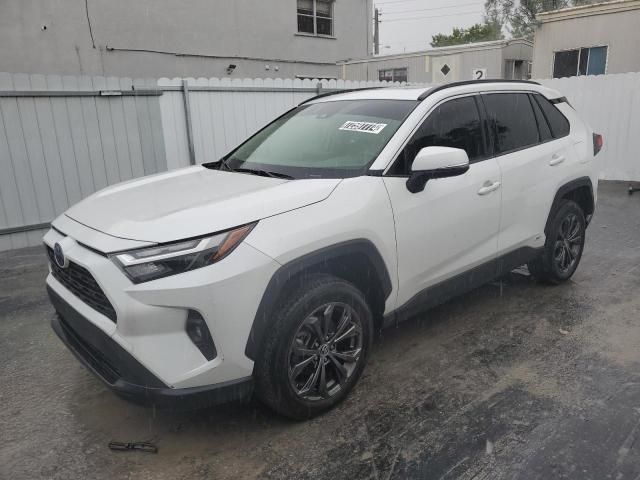 2023 Toyota Rav4 XLE Premium