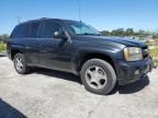 2008 Chevrolet Trailblazer LS