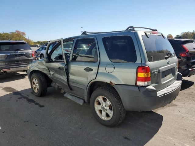 2006 Ford Escape XLT