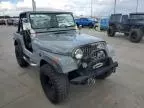 1980 Jeep CJ-7