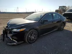 2024 Toyota Camry XLE en venta en Greenwood, NE