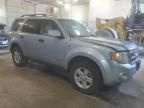 2008 Ford Escape HEV