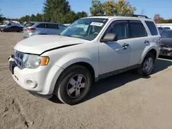 Salvage cars for sale at Finksburg, MD auction: 2011 Ford Escape XLT