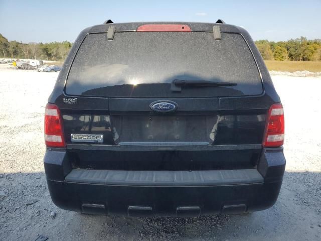 2008 Ford Escape XLT