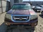 2010 Honda Pilot EXL