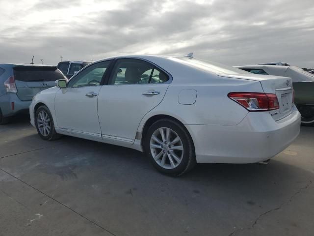 2010 Lexus ES 350