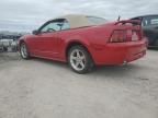 1999 Ford Mustang Cobra SVT