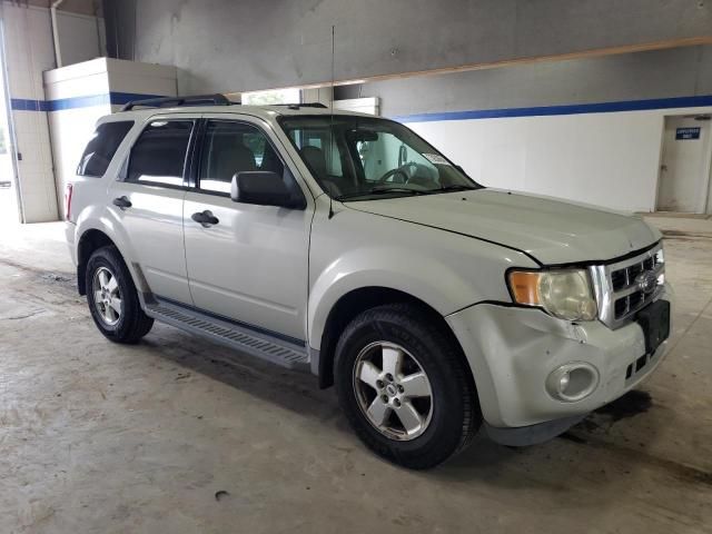 2009 Ford Escape XLT