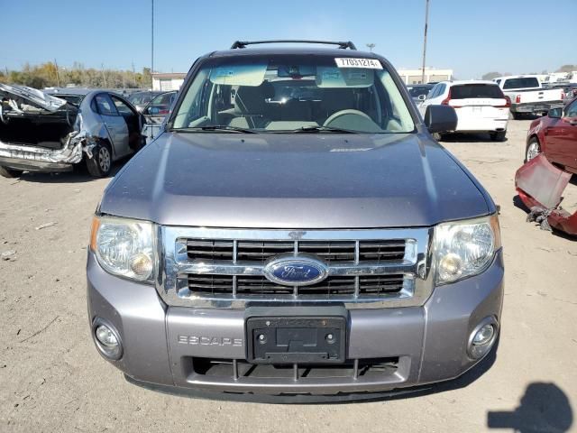 2008 Ford Escape XLT