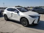 2022 Lexus NX 250