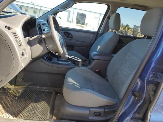 2007 Ford Escape XLT