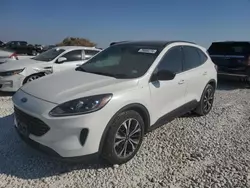 Salvage cars for sale at Taylor, TX auction: 2021 Ford Escape SE