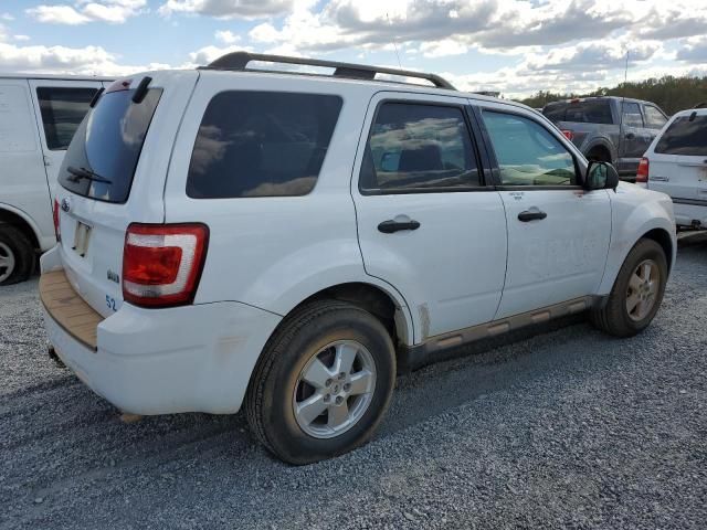 2011 Ford Escape XLT