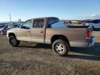 2000 Dodge Dakota Quattro