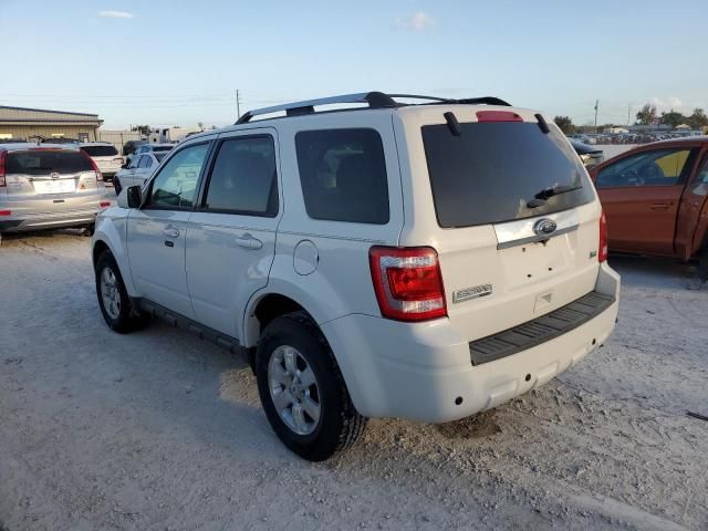 2011 Ford Escape Limited