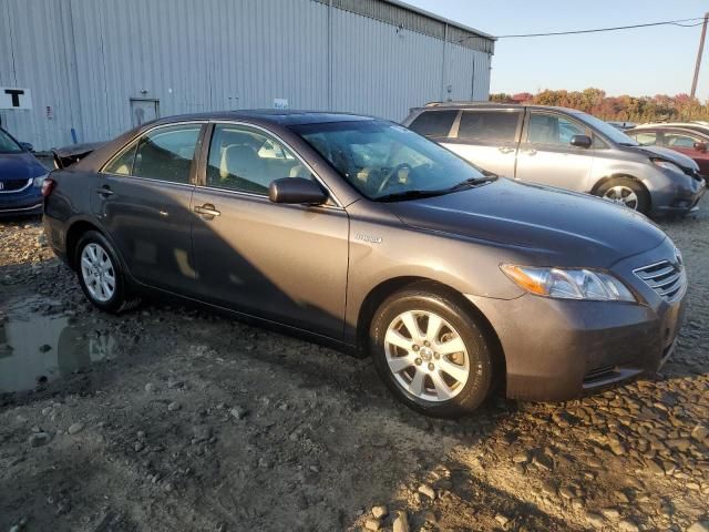 2009 Toyota Camry Hybrid