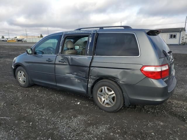 2007 Honda Odyssey EXL