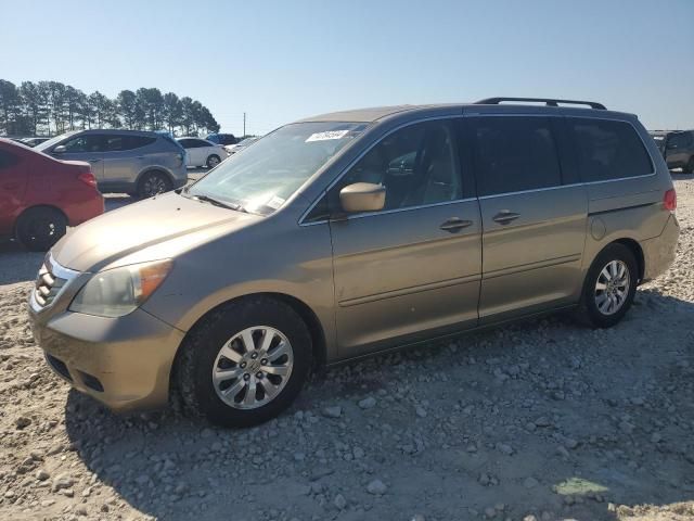 2010 Honda Odyssey EXL