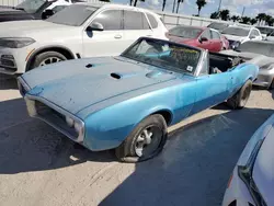 Salvage cars for sale at Riverview, FL auction: 1967 Pontiac Firebird