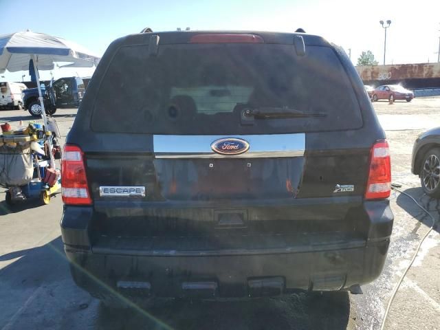 2010 Ford Escape Limited