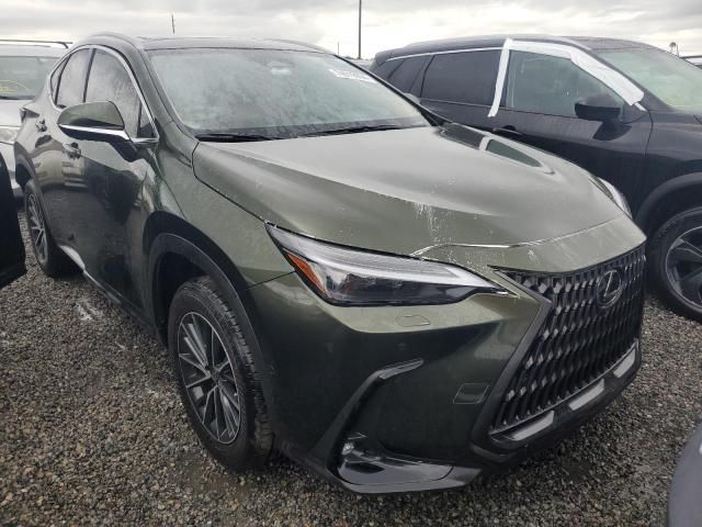 2024 Lexus NX 350H Base