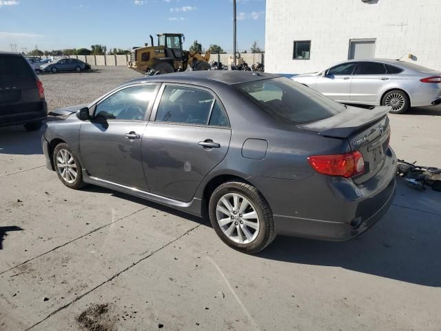 2010 Toyota Corolla Base