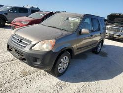 Salvage cars for sale from Copart Arcadia, FL: 2006 Honda CR-V EX