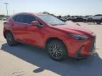 2022 Lexus NX 250