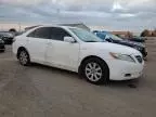 2009 Toyota Camry Hybrid