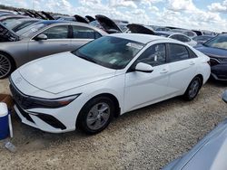 Hyundai Elantra se salvage cars for sale: 2024 Hyundai Elantra SE