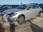 2021 Lexus ES 350 Base