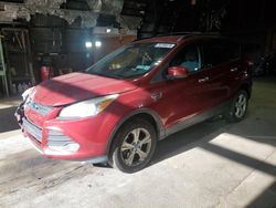 Ford Vehiculos salvage en venta: 2013 Ford Escape SE