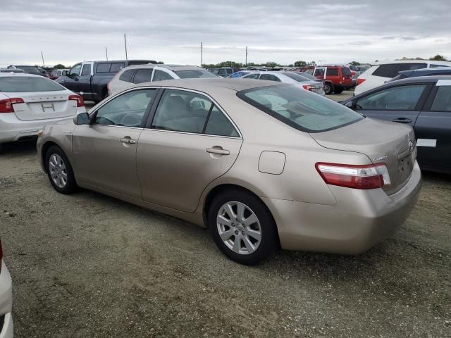 2009 Toyota Camry Hybrid