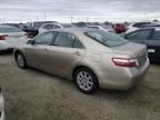 2009 Toyota Camry Hybrid