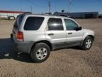 2003 Ford Escape XLT