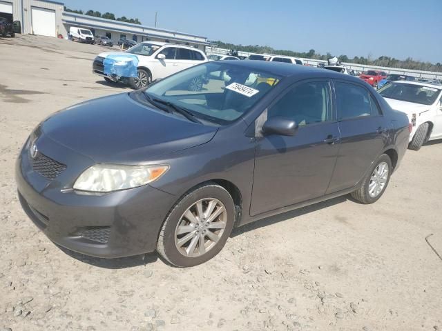 2009 Toyota Corolla Base