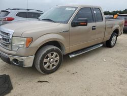 Salvage cars for sale at Arcadia, FL auction: 2014 Ford F150 Super Cab