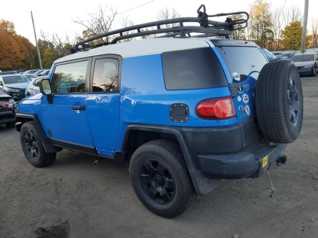 2007 Toyota FJ Cruiser